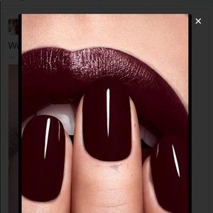 Meet your Posher, Elsie